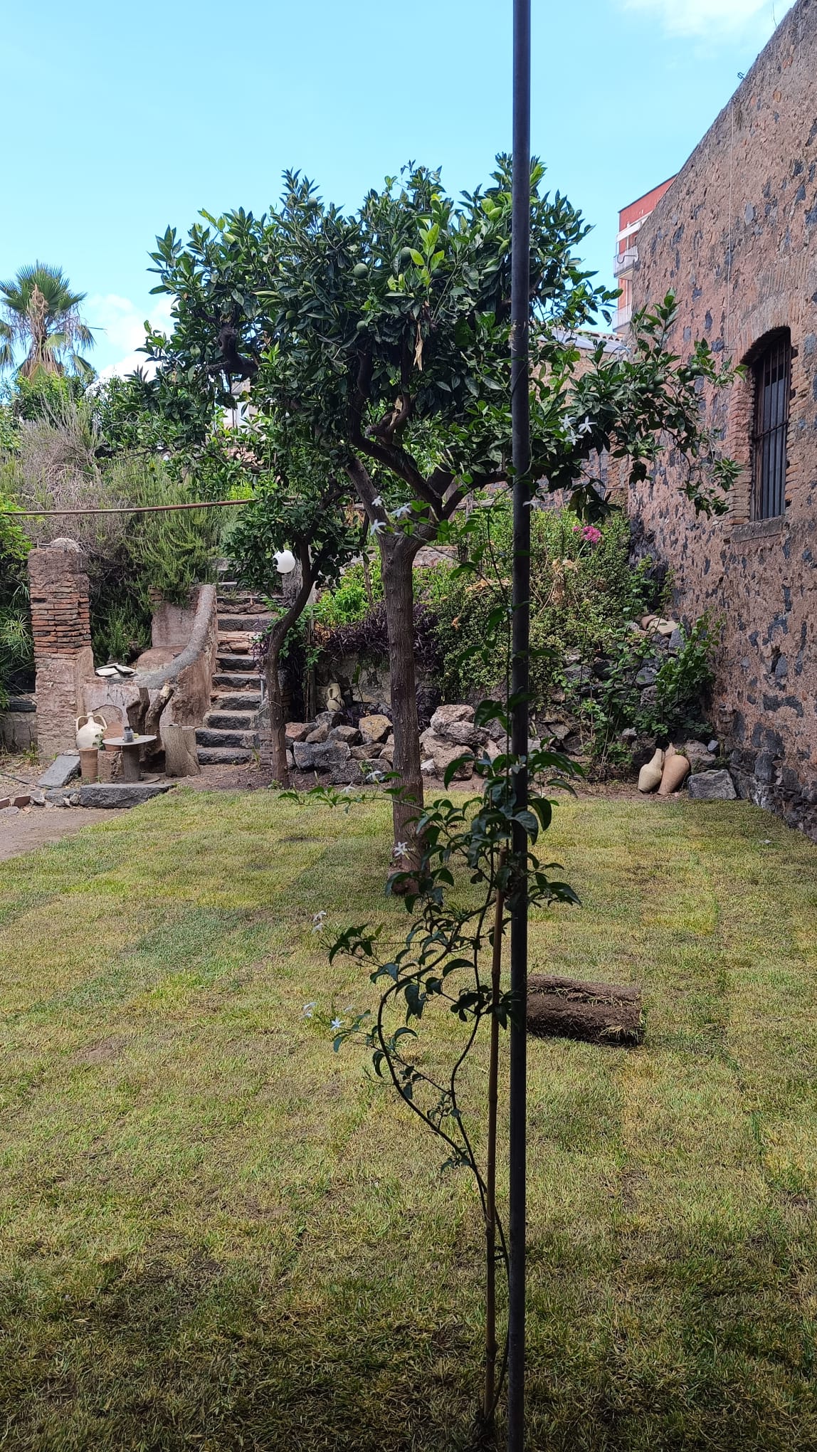 Il giardino segreto interno